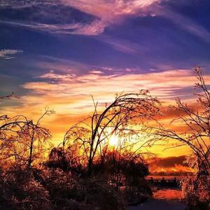 最后没有了对白