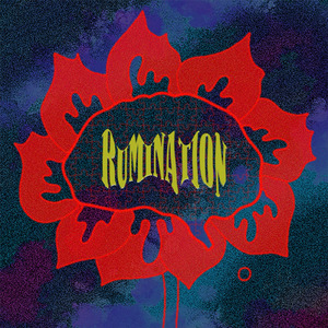 ランナーズハイ