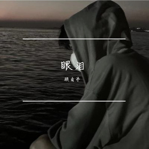 梦 / 顾南亭-失恋的泪-整曲（顾南亭 remix）