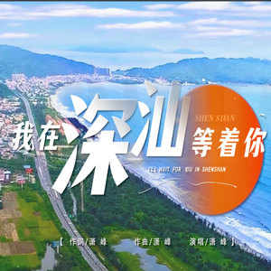 我在深汕等着你