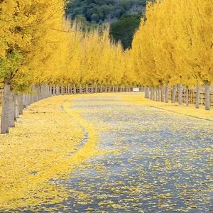 No Heroes（Remix）