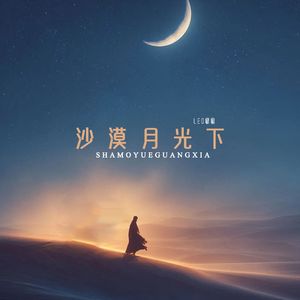 沙漠月光下