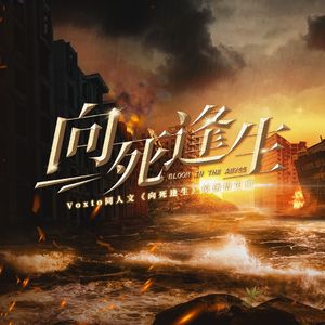 【voxto原创曲】向死逢生