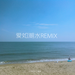 张信哲 - 爱如潮水remix