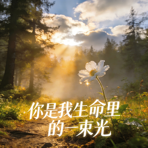 你是我生命里的一束光
