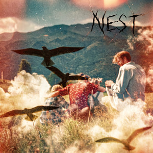 Nest
