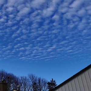 El Llamado Suave del Invierno