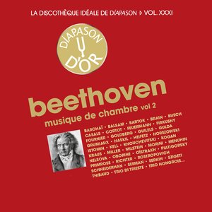 Violin Sonata No. 1 in D Major, Op. 12 No. 1: I. Allegro con brio