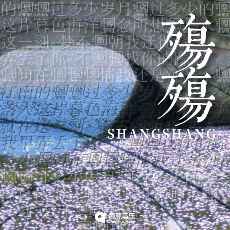 殇殇封面