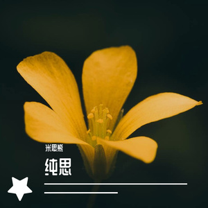 漫步林中 (4)