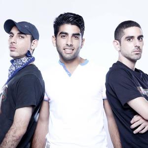 מחפש תיקון מארחים את דנידין