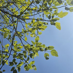 下课了一起散步吗