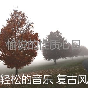 柔和的周末时刻