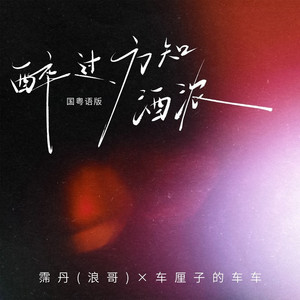 醉过方知酒浓 (国粤语版)