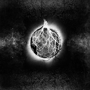 The Ocean Won't Allow