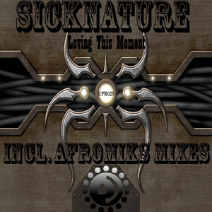 Loving The Moment (Reprise Mix)