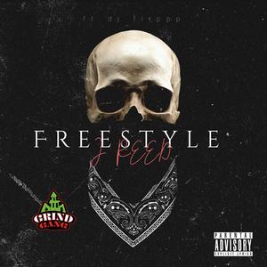 freestyle (feat. Dj Flippp)