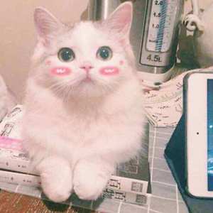 夏天的风（伴奏）（remix）