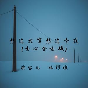 熬过大雪熬过冬夜(走心合唱版)