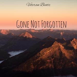 Gone Not Forgotten