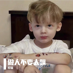 做人不要太飘-DJ