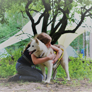 Regenbogenzauberland