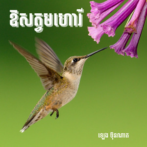 គ្រាន់តែឃើញកាលណា