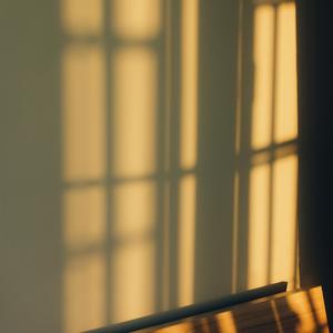 蜜蜂-吉他弹唱（翻自 王贰浪）