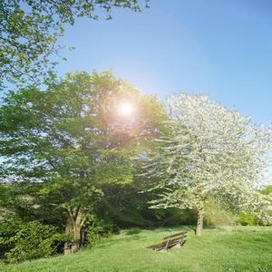 마음과 의식의 치유 (휴식음악)