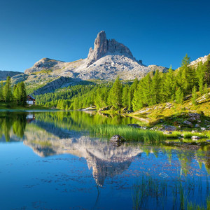 独行者的旅程（胎教早期助眠纯音乐）