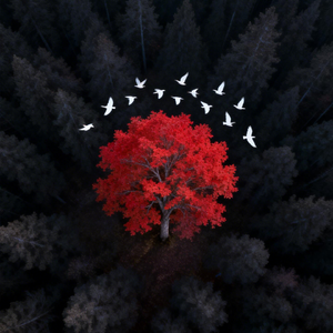 几面（颜人中版）