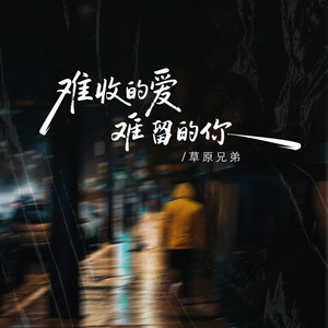 难收的爱难留的你