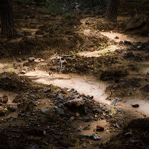 关于郑州的记忆