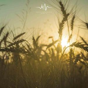 阴雨天气 - 钢琴曲