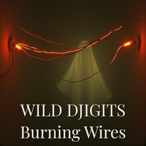 Burning Wires
