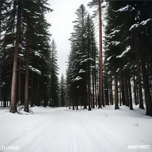 Snowy Forest