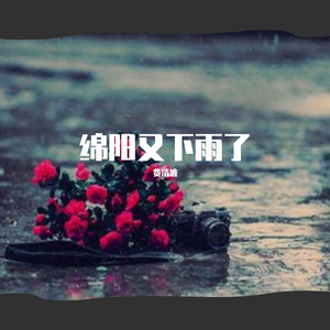 绵阳又下雨了（翻自 小右）