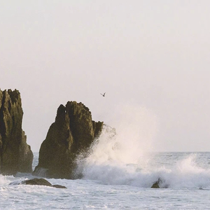 没有名字的情歌