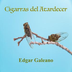 Cementerio de Cigarras