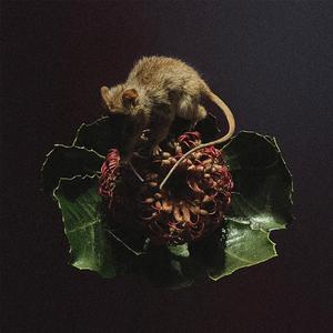 immobilised in painted frame