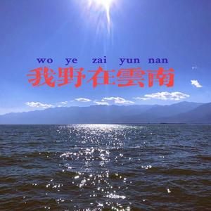 苍山洱海间的一首歌