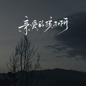 亲爱的孩子啊（是否追得上白马）