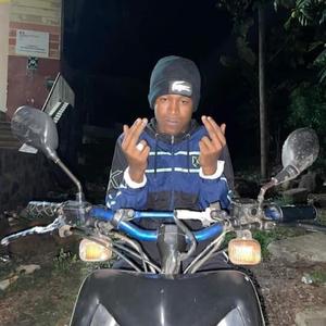 Moustre_sur la route