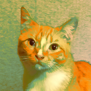 Решающий вызов