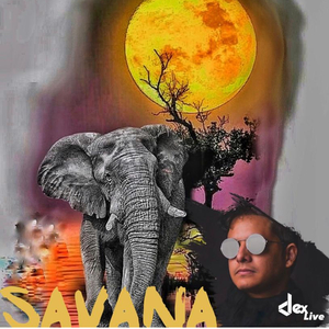Savana