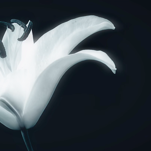 晨曦光廊（AuroraeSolarium）