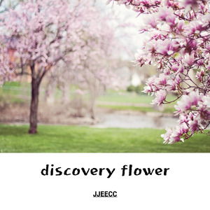 instance nanoparticle