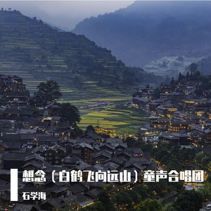 想念（白鹤飞向远山）童声合唱团