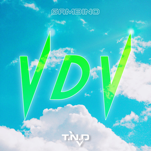 VDV