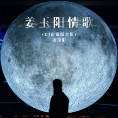 分手了就不要再想起我 (DJ彭锐版)